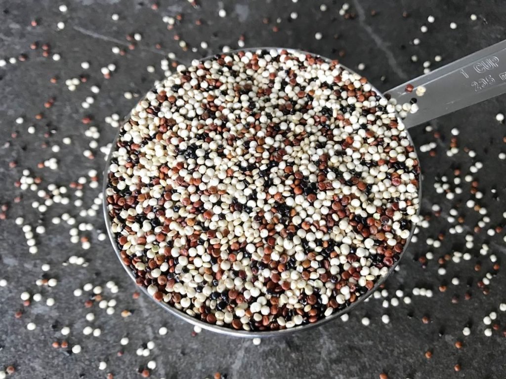 Quinoa grains in measuring cup