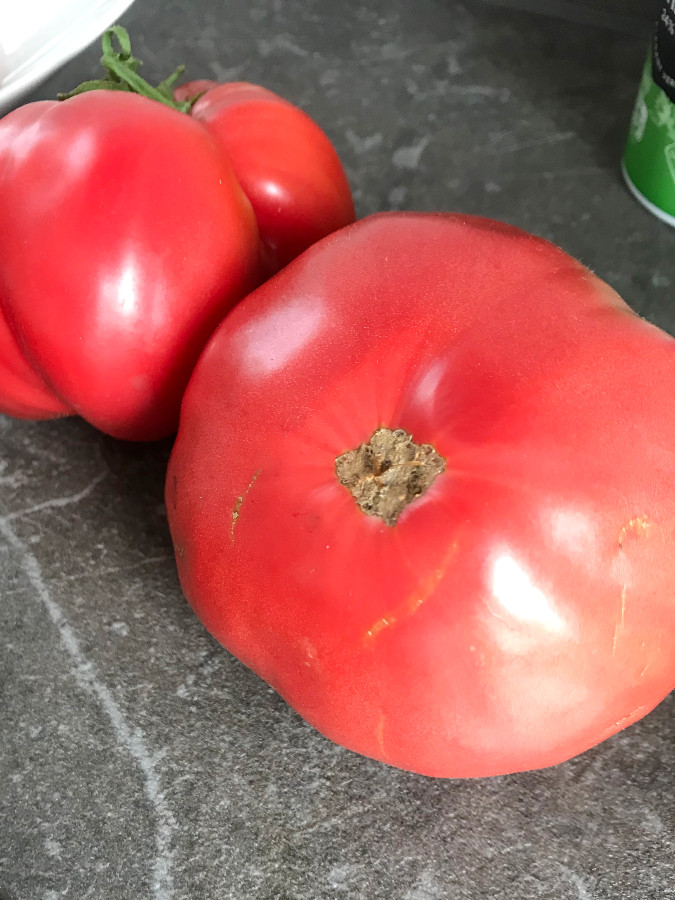 Large beefy tomatoes on table counter