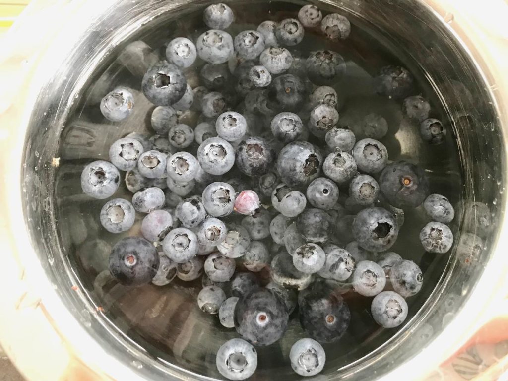 Blueberries washed in a bowl with water