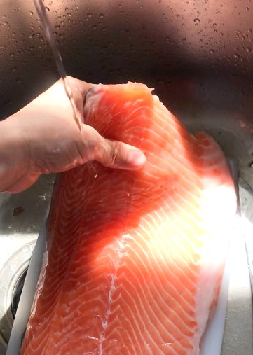 Salmon filet being washed