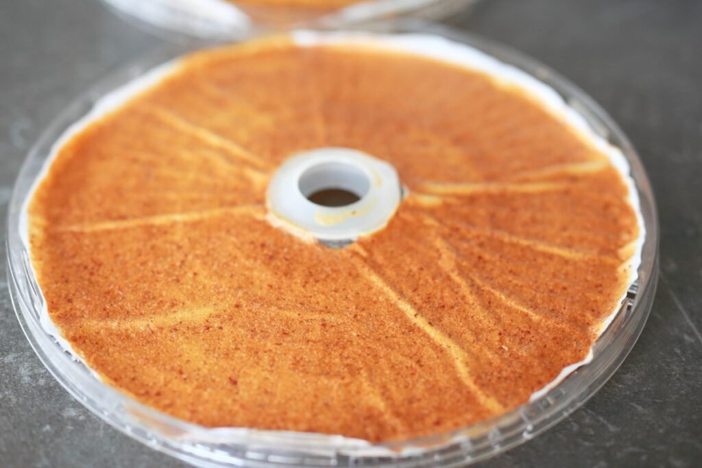 Dried homemade fruit roll up on a dehydrator tray.