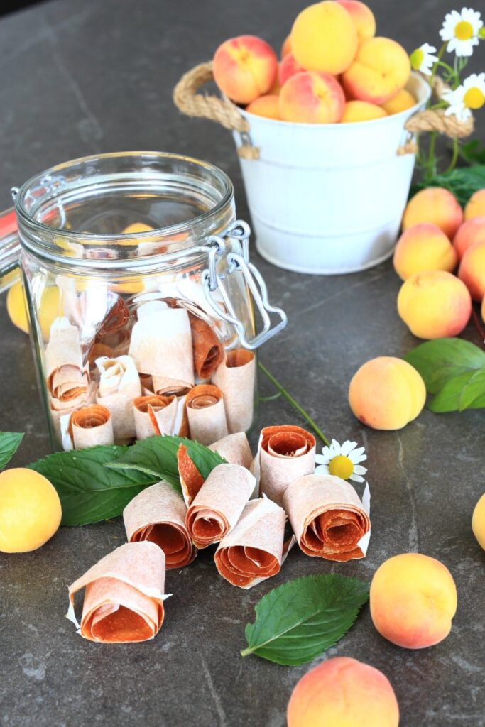 Apricot fruit leather in a jar and surrounded by fresh apricots.