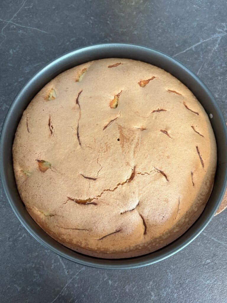 Baked apple sponge cake in springform pan